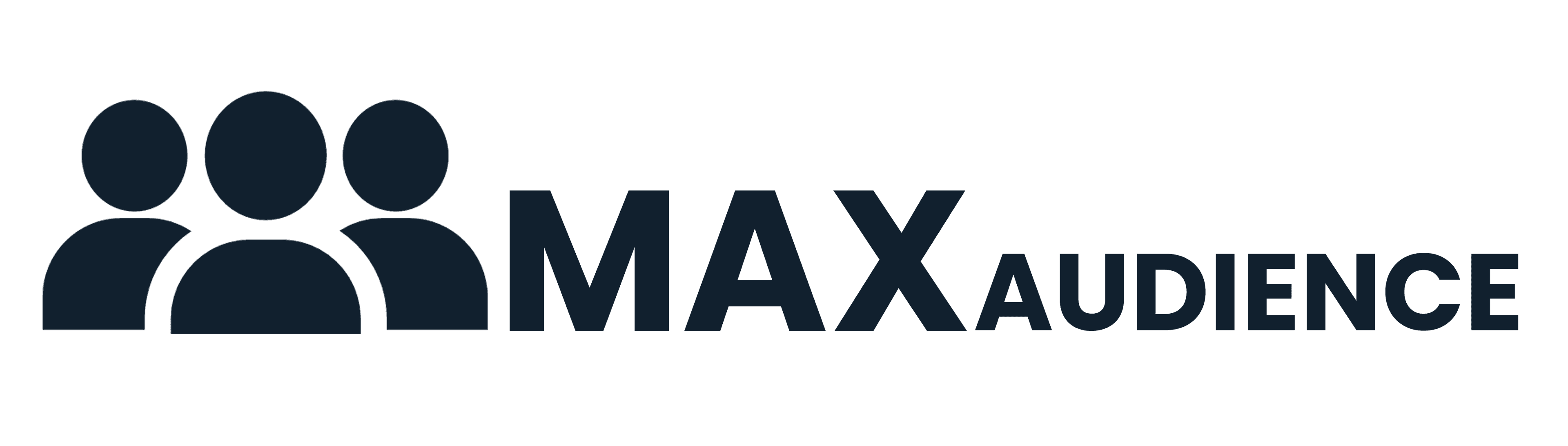 MAX Audience